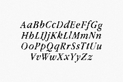 fffffff Pixel Serif Font, a Serif Font by Nomad Visuals (Thumbnail 3 of 6)