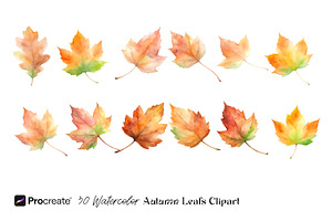 Watercolor Autumn Leaves Clipart