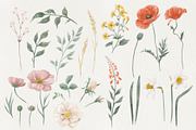 Floral Tales Wedding cards & clipart, an Invitation Template by Garden in frame (Thumbnail 7 of 10)