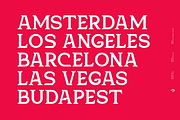 Eriega | Modern Tech Display, a Serif Font by Aluyeah Studio (Thumbnail 5 of 16)
