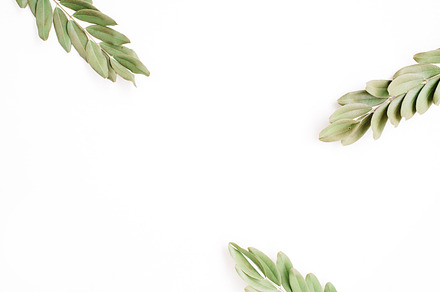 Frame with branches, an Arts & Entertainment Photo by Floral Deco