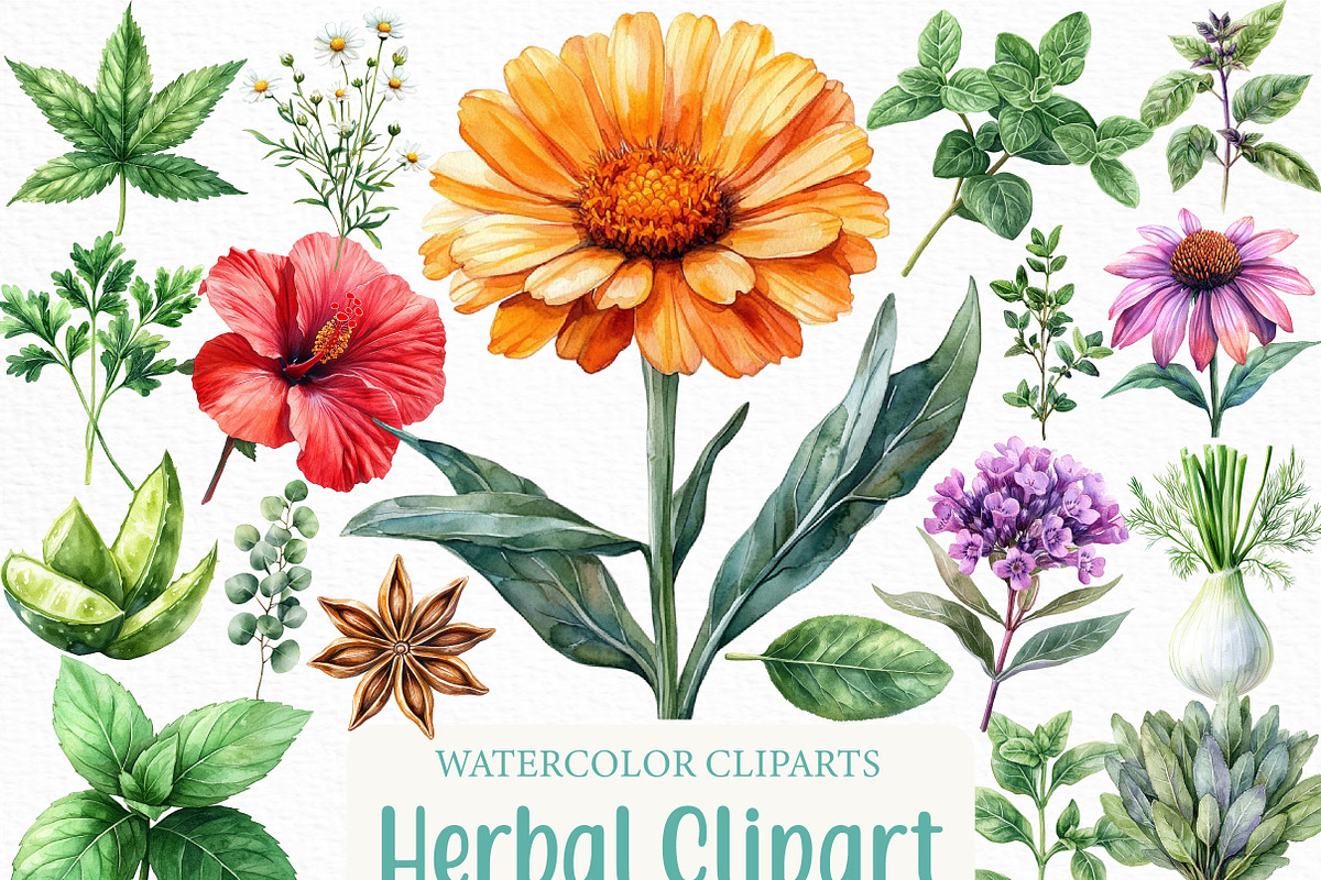 Watercolor Herbal Clipart Bundle, an Illustration by Craft Nest (Photo 1 of 6)