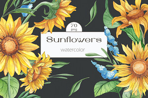 Sunflower watercolour collection.