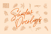 PARADISE — Summer graphic collection, an Illustration by adwintash (Thumbnail 5 of 20)