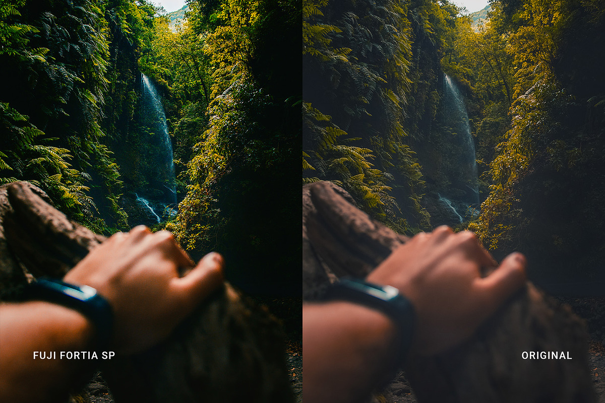 Fuji Fortia SP, a Preset Add-On by colorituals (Photo 5 of 9)