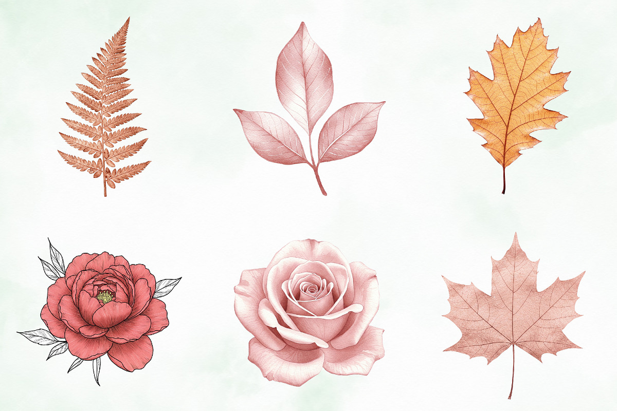 Rose Gold Foil Floral Elements, an Illustration by Creative Art (Photo 4 of 8)