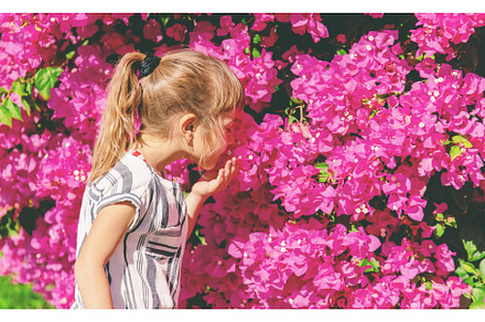 photo with a bush of flowers in, a Person Photo by yanadjana