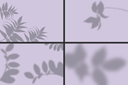 50 plants shadows, a Mockup by AnastasiyaOleynik (Thumbnail 8 of 14)