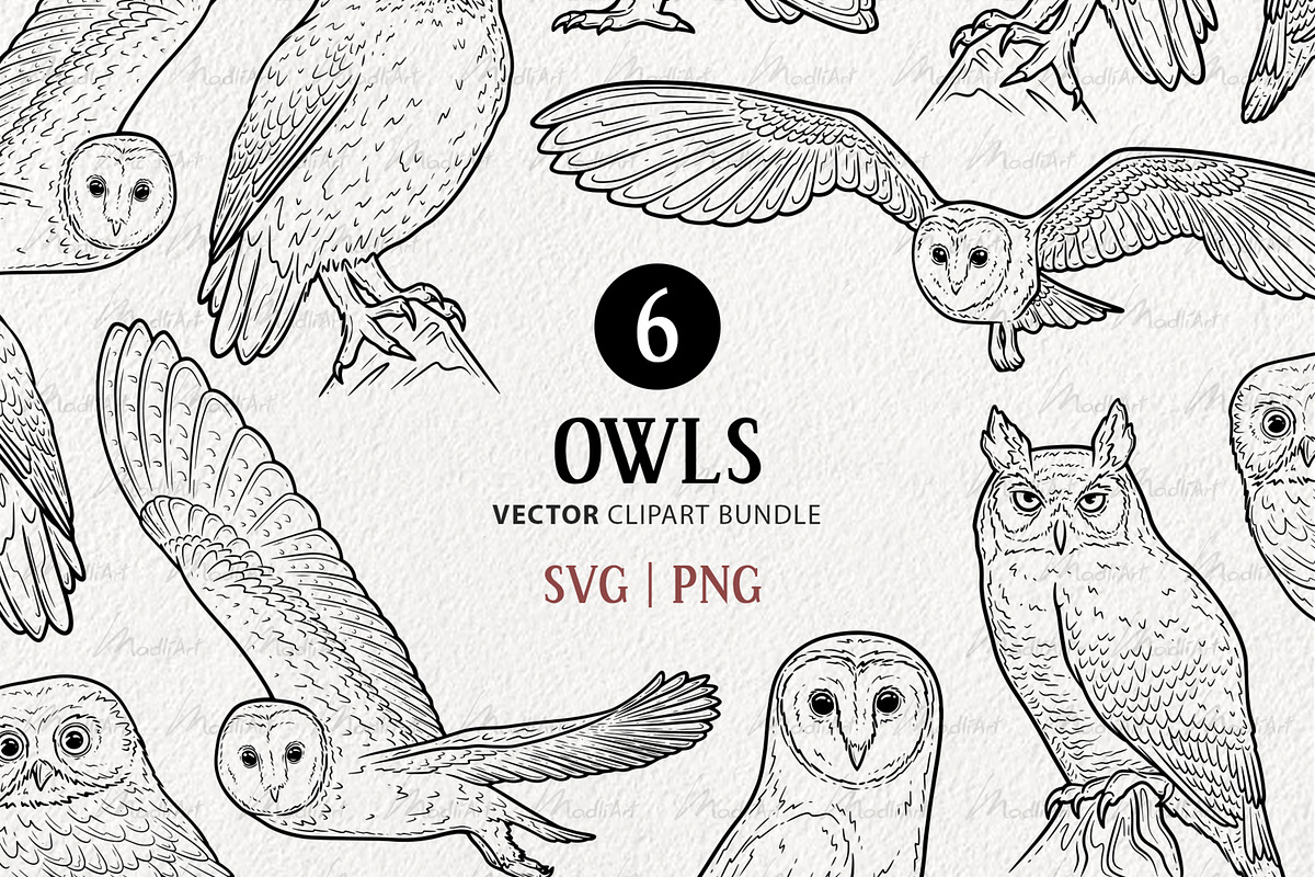 Owl Vector Line Art Set, an Illustration by MadliArt (Photo 1 of 4)