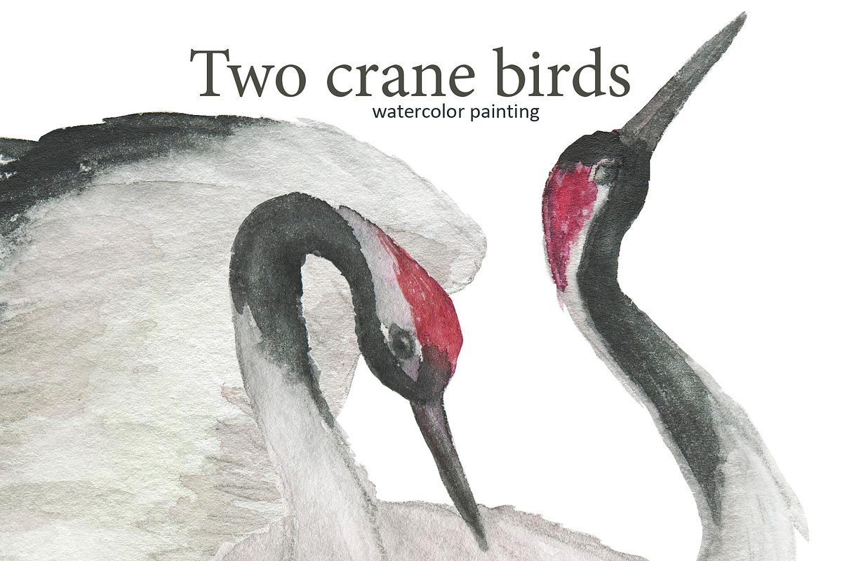 Two cranes and chinese peony, a Pattern Graphic by ramika (Photo 2 of 6)