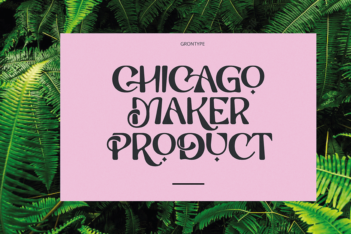 Saltstar Font, a Sans Serif Font by Grontype (Photo 3 of 12)