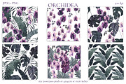 Orchidea, an Illustration by Salted Galaxy (Thumbnail 10 of 11)