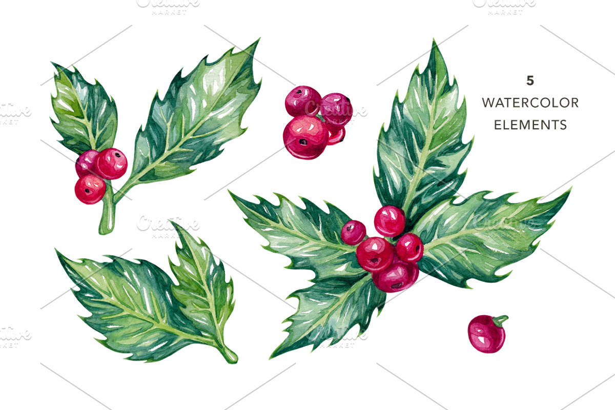 Watercolor Holly Illustrations, a Decorative Illustration by Olga Olmix (Photo 2 of 5)