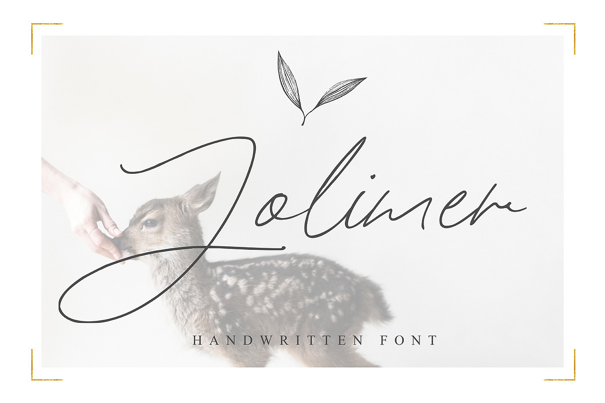 Jolimer