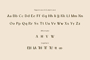 Ravane - Display Font, a Sans Serif Font by twinstd (Thumbnail 4 of 7)