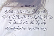 Stylish Script, a Script Font by MSG Studio (Thumbnail 8 of 11)