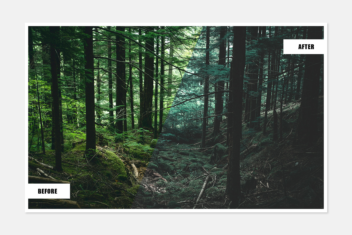 Enchanted Forest Lightroom Presets, a Plug-in Add-On by Applesaw.co (Photo 2 of 4)