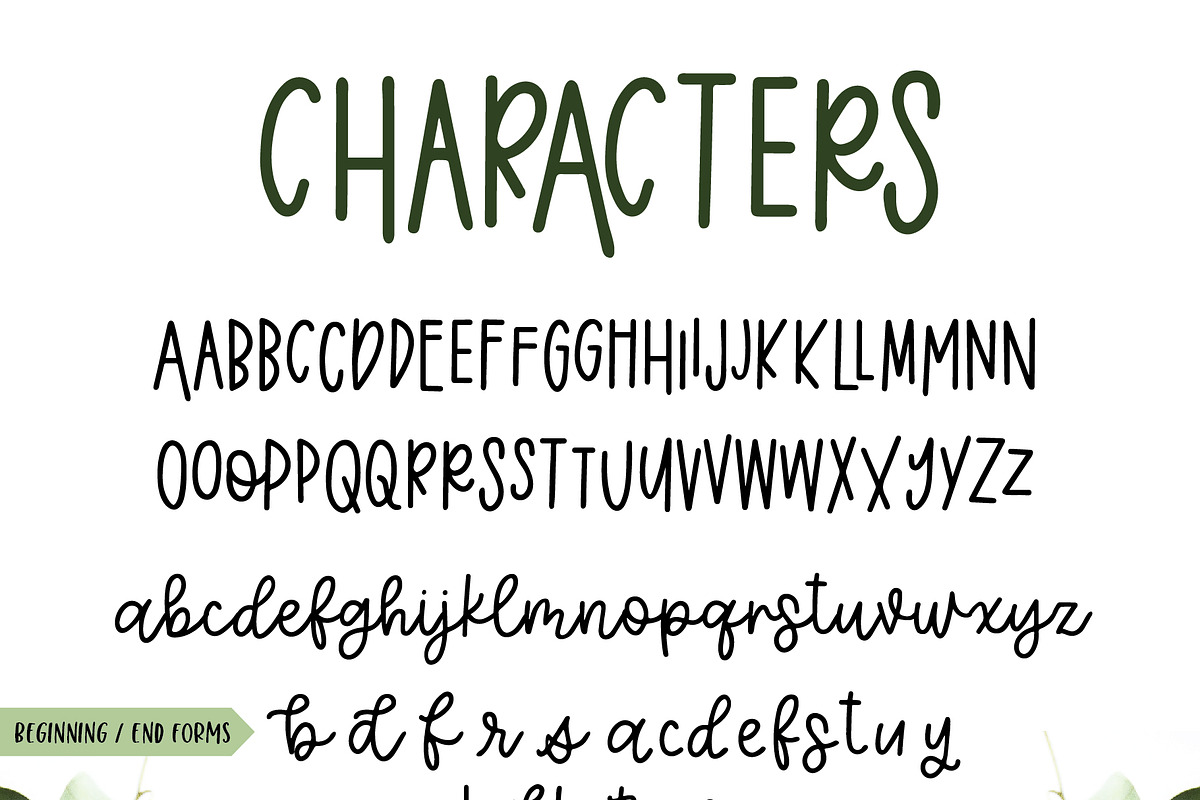 Eucalyptus Spearmint Monoline Script preview 8