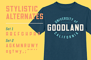 Goodland Text retro industrial font, a Sans Serif Font by Swell Type (Thumbnail 6 of 6)