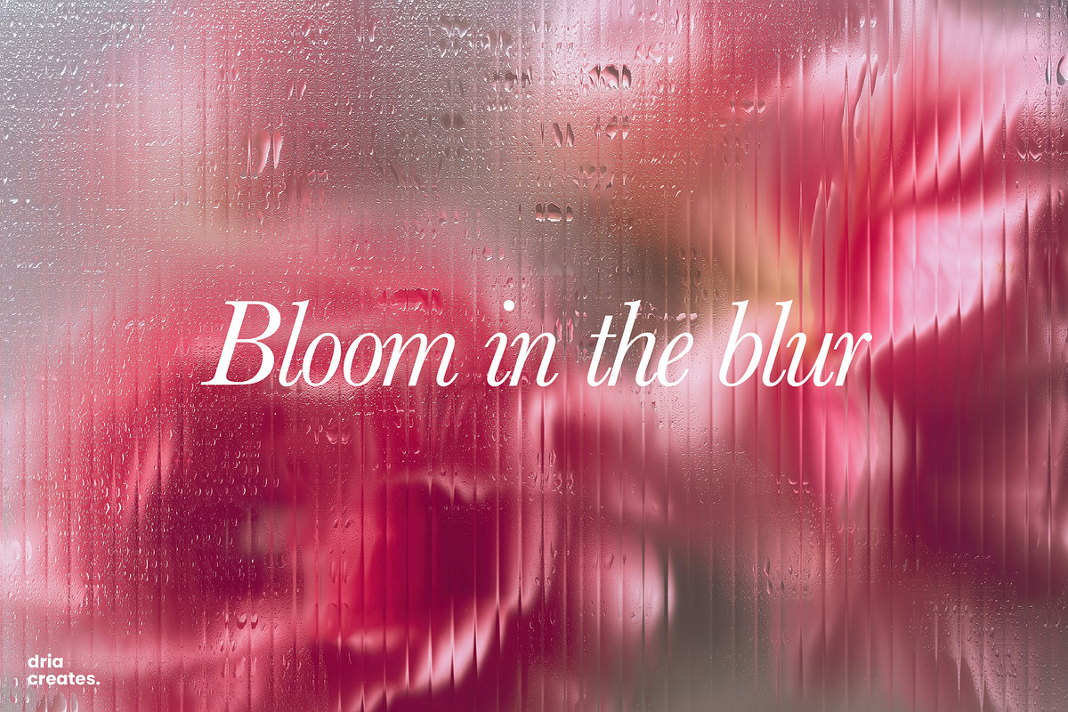 Fluted Bloom - Background Set, a Background Graphic by Nenjo Studio (Photo 7 of 8)