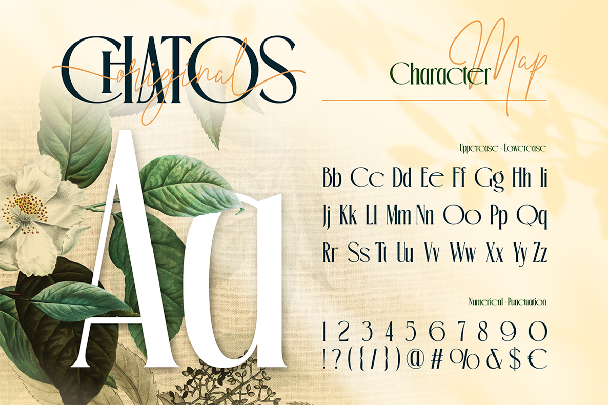Chatos Original, a Serif Font by Burntilldead (Photo 2 of 11)