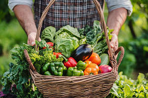 Farmer proudly holds fresh vegetable, a Photo by Pavel_design