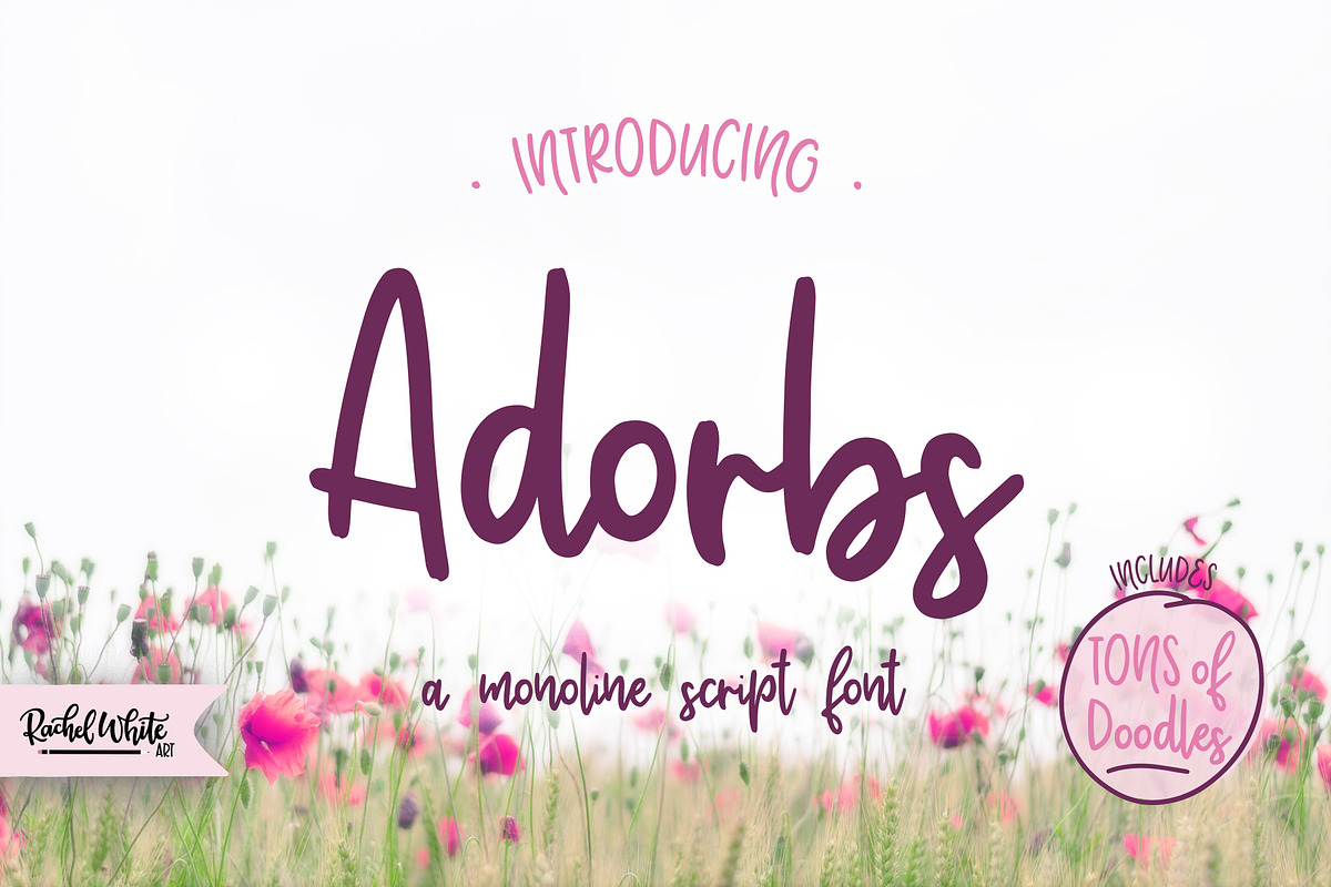 Scripts Font Bundle, 8 fonts, a Script Font by Rachel White Art (Photo 14 of 17)