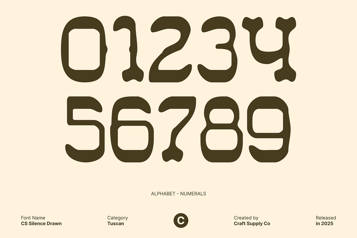CS Silence Drawn, a Serif Font by Craft Supply Co. (Photo 3 of 8)