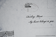 Lily Wang, a Script Font by Dharma Type (Thumbnail 5 of 10)