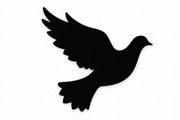 Bird Silhouette design bundle, an Illustration by abu67222 (Thumbnail 7 of 13)