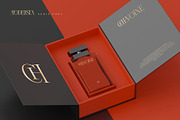 Modelista Light | Ligature Serif, a Serif Font by Krismagraph (Thumbnail 4 of 10)