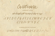 Candinara - Elegant Calligraphy, a Script Font by Ginart (Thumbnail 9 of 11)