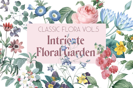 Botanical Illustrations - Garden