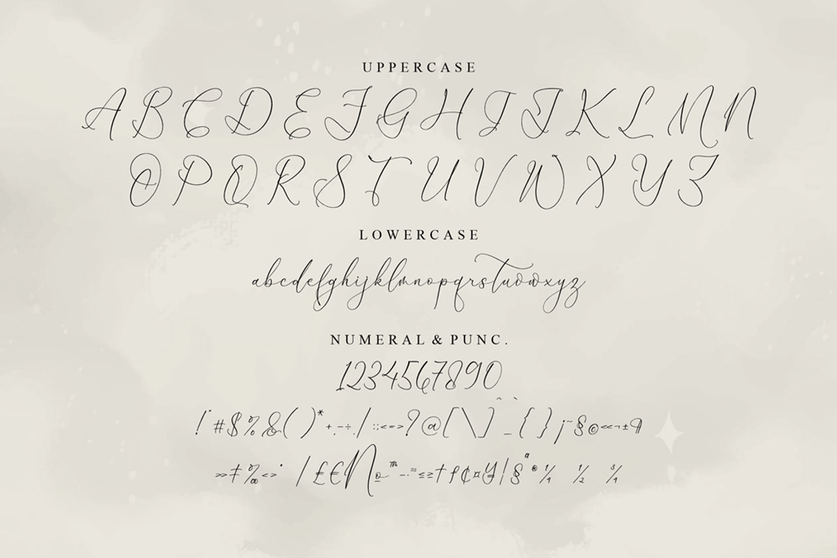 Dihatimu Adamelri Elegant Script, a Script Font by Storytype Studio (Photo 12 of 14)