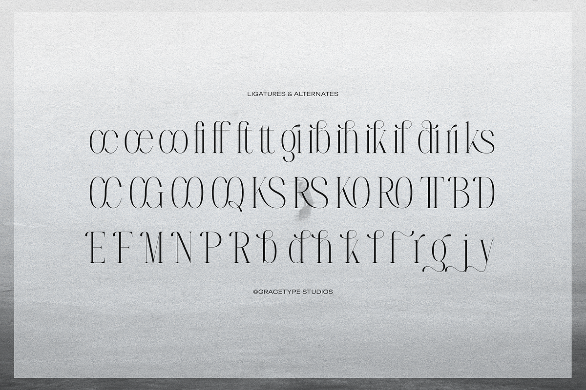 Furigale | Classic Serif, a Serif Font by gracetype_studio (Photo 12 of 12)