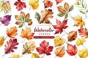 Autumn Leaves Clipart, a Decorative Illustration by MockupWizard (Thumbnail 1 of 5)
