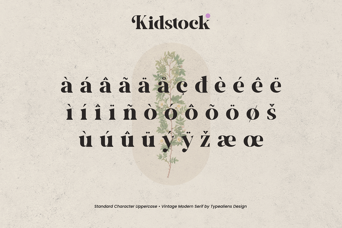Kidstock, a Serif Font by ilhamtaro (Photo 10 of 11)