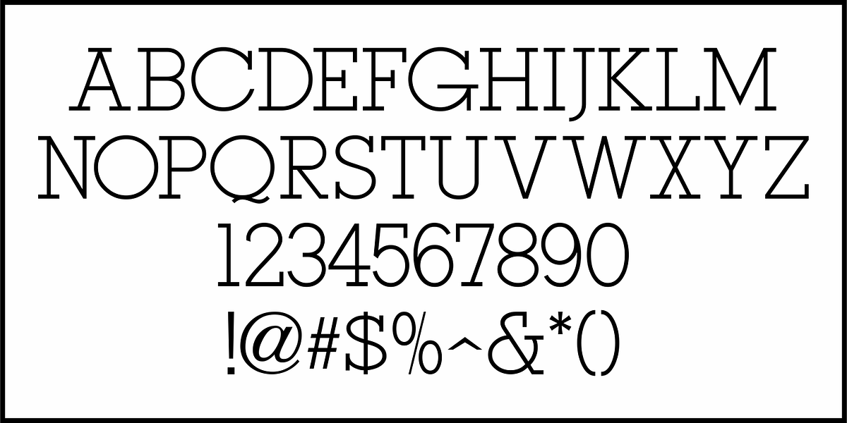 Tag Sale JNL, a Slab Serif Font by Jeff Levine Fonts (Photo 3 of 5)