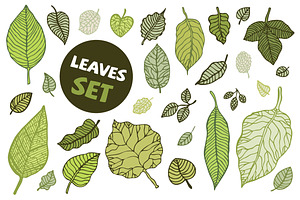 Leaves set