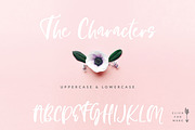 Pink Berries Script font + Extras, a Handwritten Font by Creator Goodies (Thumbnail 2 of 9)