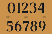 CS Adriel – Modern Serif Font, a Serif Font by Craft Supply Co. (Thumbnail 6 of 8)
