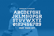 wild pitch, a Font by boldversion (Thumbnail 4 of 4)