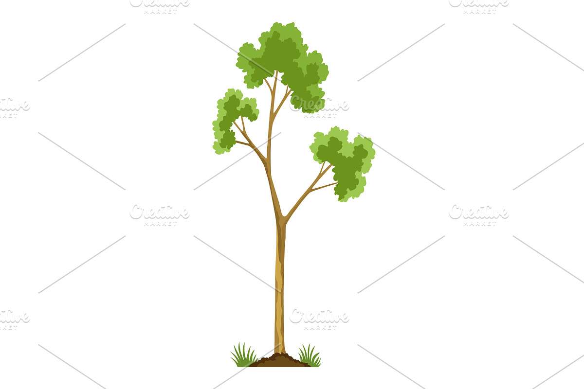 Stage of tree growth. Small, an Object Illustration by Things for designers