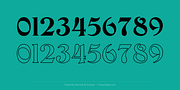 Colombo, a Serif Font by preussTYPE (Thumbnail 3 of 9)
