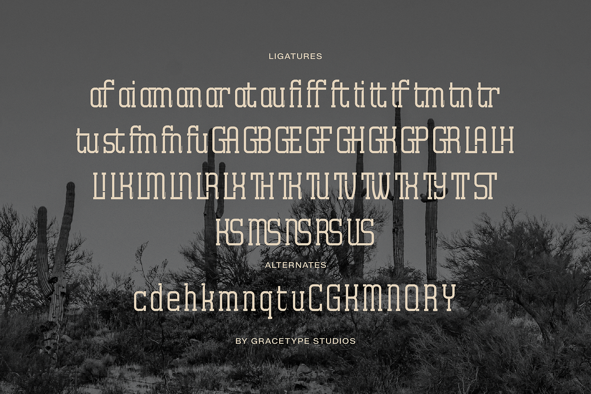 Archives Classic | Slab Serif Font, a Slab Serif Font by gracetype_studio (Photo 12 of 12)
