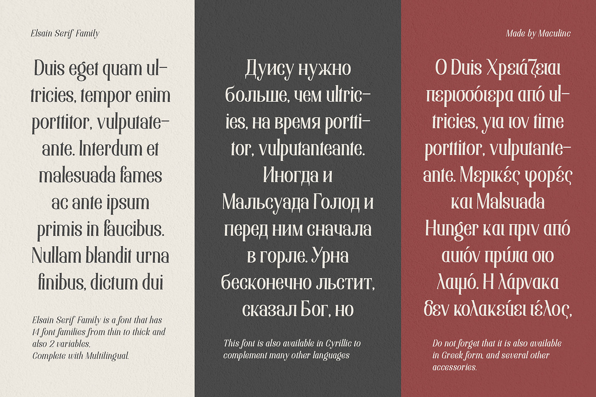 Elsain - Serif Font (16 Fonts), a Serif Font by Maculinc Type (Photo 3 of 11)