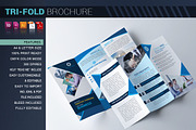 Tri-fold Brochure, a Brochure Template by artico (Thumbnail 2 of 5)