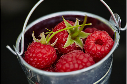 Fresh ripe raspberries in a metal, a Food & Drink Photo by Rohan Photography