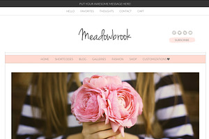Meadowbrook - Modern Wordpress Theme