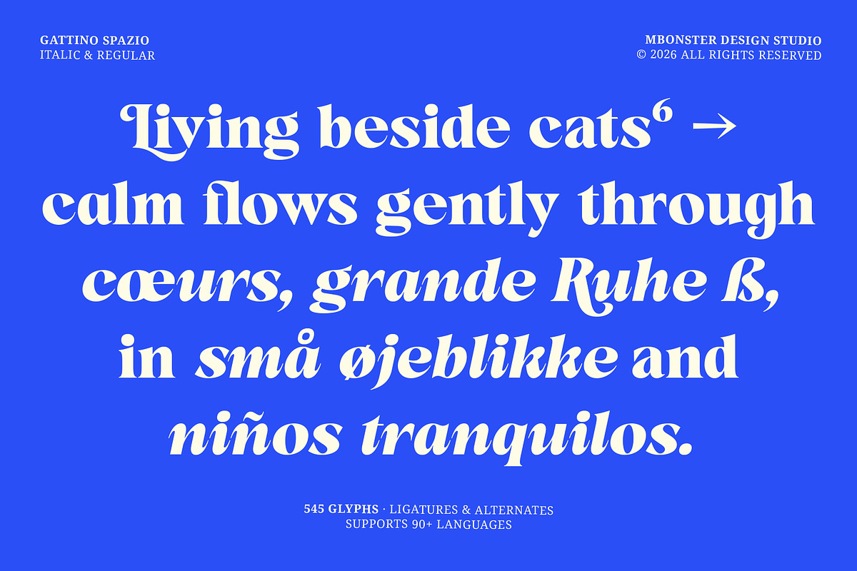 Gattino Spazio - Bold Serif Typeface, a Serif Font by Mbonster Design Studio (Photo 2 of 20)